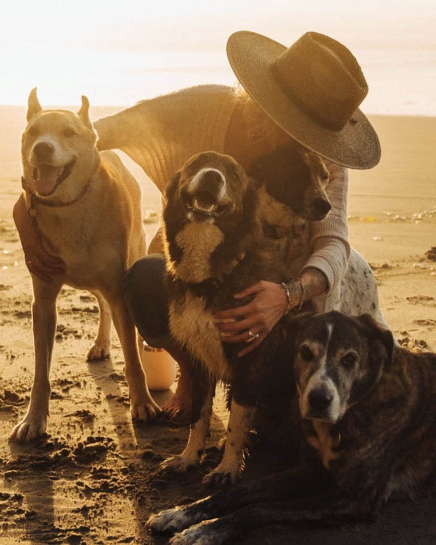 Brianna Madia with her dogs on a beach at sunset