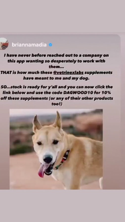 Brianna's 2021 Instagram story about reaching out to Vetrinex Labs