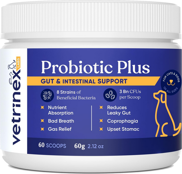 Probiotic Plus