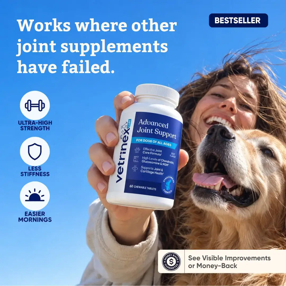 Advanced Joint Support held up beside a golden retriever