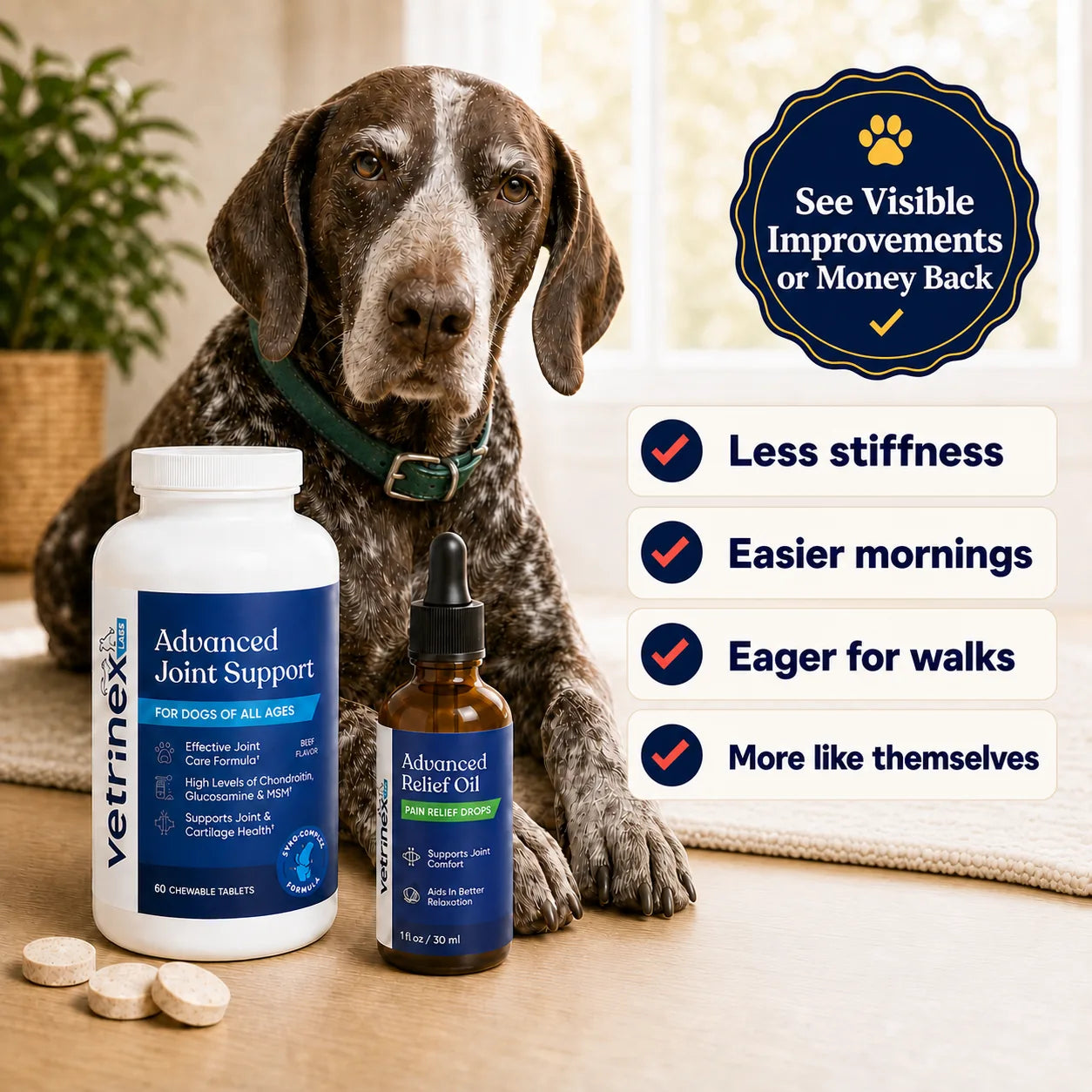 Advanced Joint Support with a dog